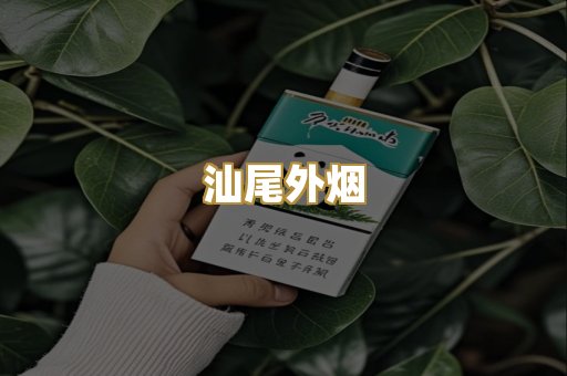 汕尾外烟
